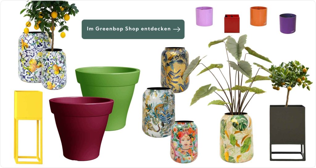 Bunte Blumentöpfe in verschiedenen Größen und Farben im Greenbop Onlineshop entdecken.