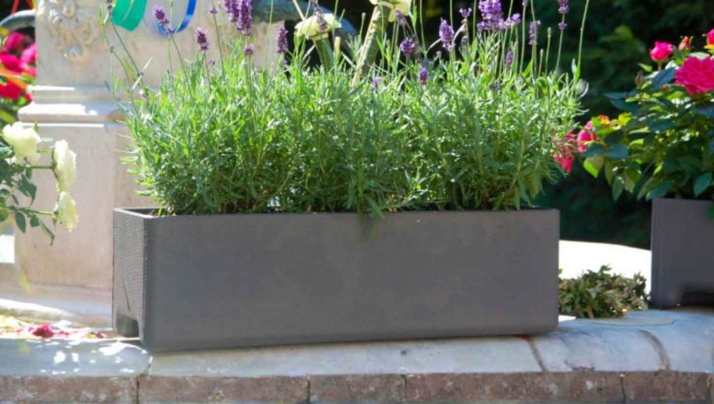 Praxistipps für moderne Blumenkästen