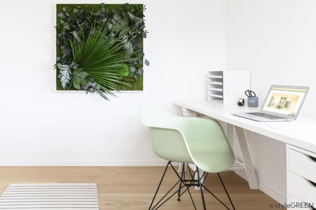 Konserviertes Pflanzenbild im Home-Office