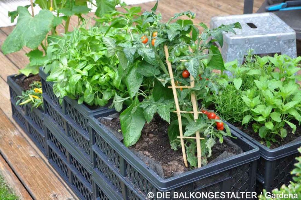 DIY Hochbeet mit Kräutern und Gemüse für Balkon und Terrasse