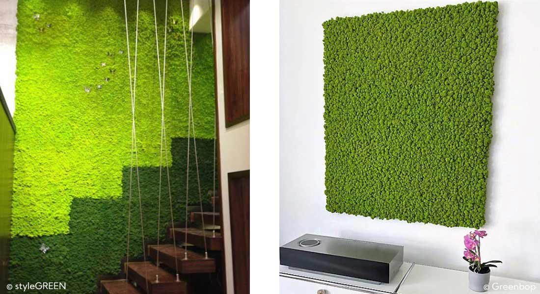 Islandmoos Moosmatten von styleGREEN als Mooswand