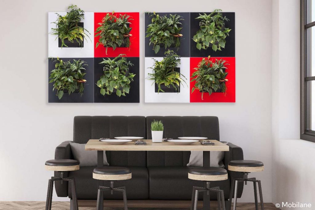 Wandgarten aus acht Pflanzenbildern von mobilane