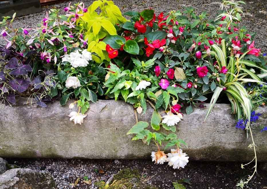 Naturstein Blumenkasten mit buntem Blumen-Mix