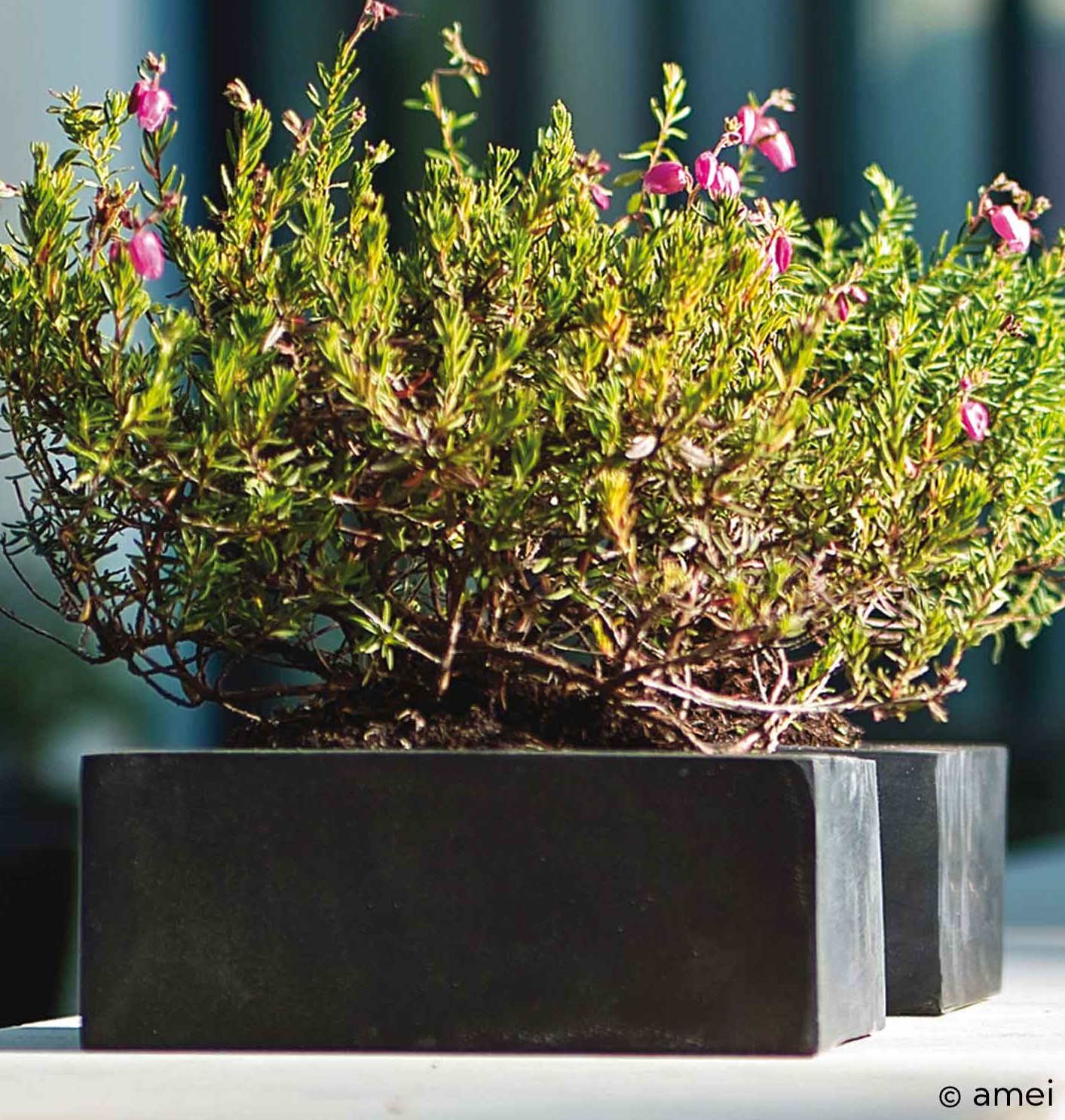Quadratischer Blumenkasten aus Fiberglas von amei