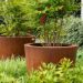 Cortenstahl-Produkte im Garten - Tipps und Pflegehinweise