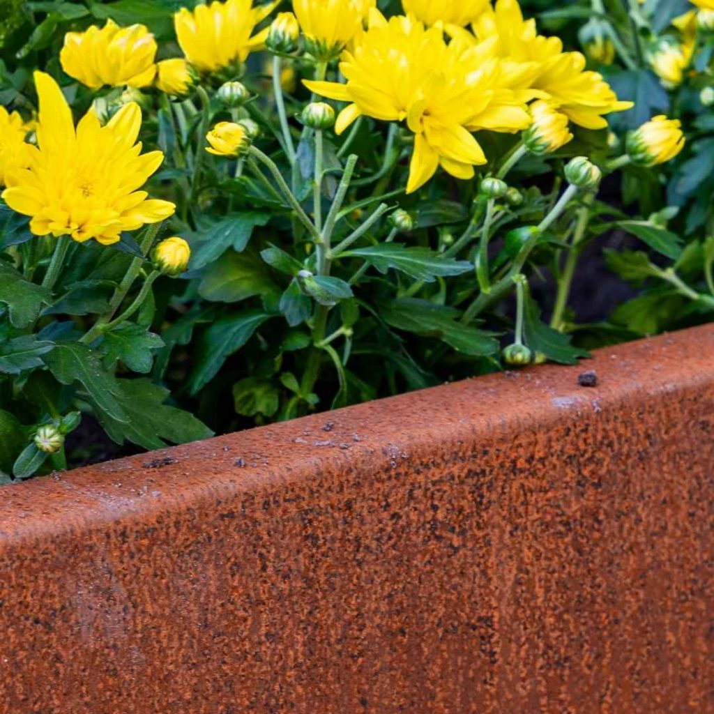 cortenstahl-produkte im Garten reinigen 