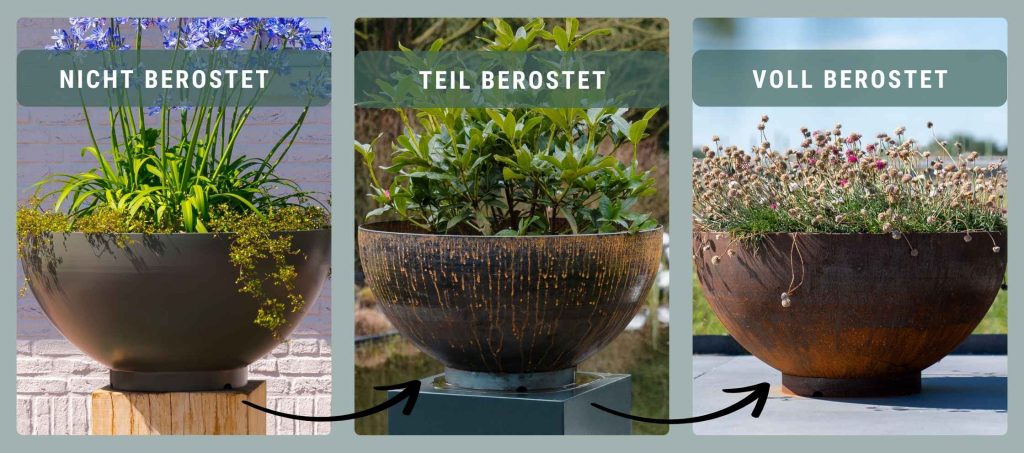Cortenstahl-Produkte im Garten der Rostprozess von Cortenstahl