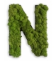 N