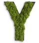 Y