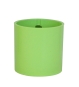 limette