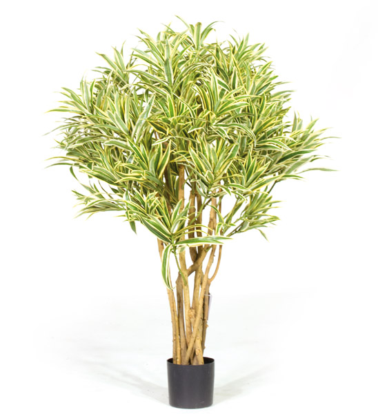 Drachenbaum Kunstpflanze 100 cm