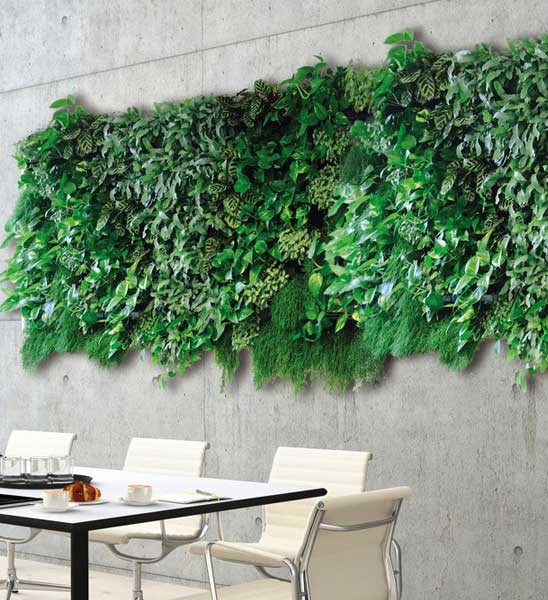 Grüne Wand mit Pflanzen