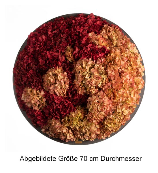 Hortensiebild Rund 70 Cm(1)