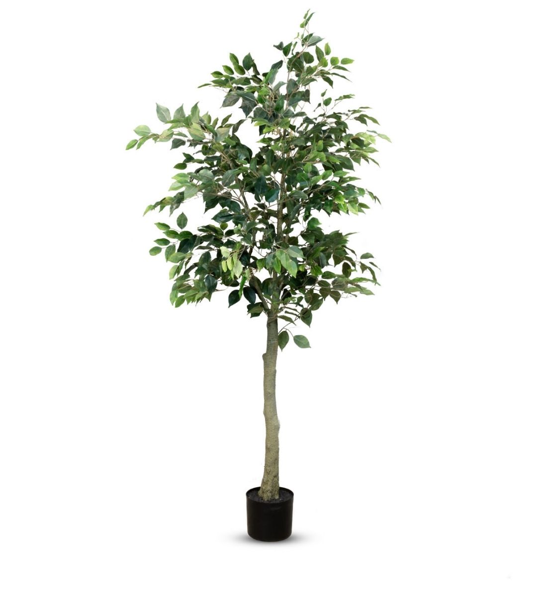 Künstliche Birkenfeige 180 cm – Ficus Kunstpflanze mit Stamm und dichter Krone, UV-stabil