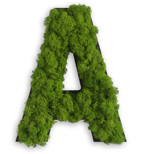 Moos Buchstaben von a bis Z für die Wand
