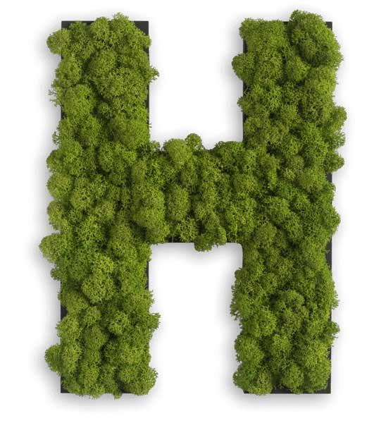 Moos Buchstaben von a bis Z für die Wand