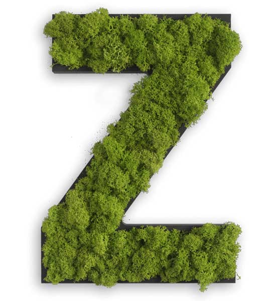 Moos Buchstaben von a bis Z für die Wand