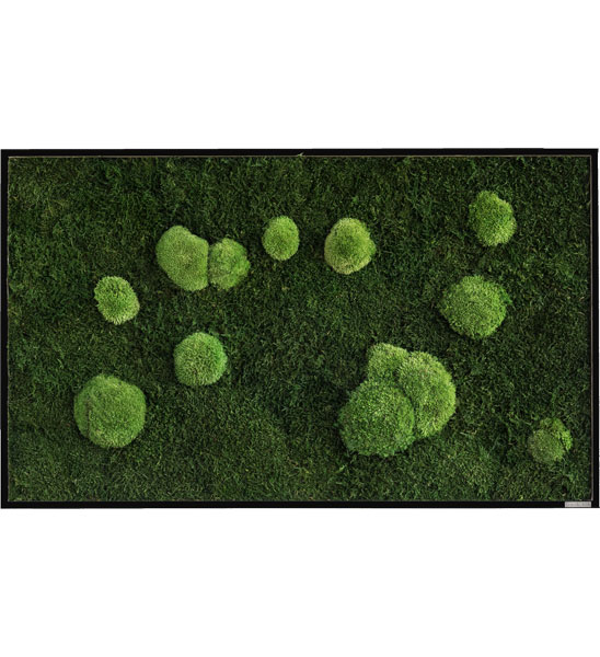 Echtes Moosbild aus konserviertem Moos 100x60 cm weißter Rahmen