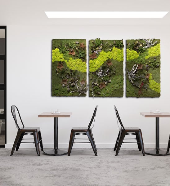 Moosbild Triptychon 60x100cm