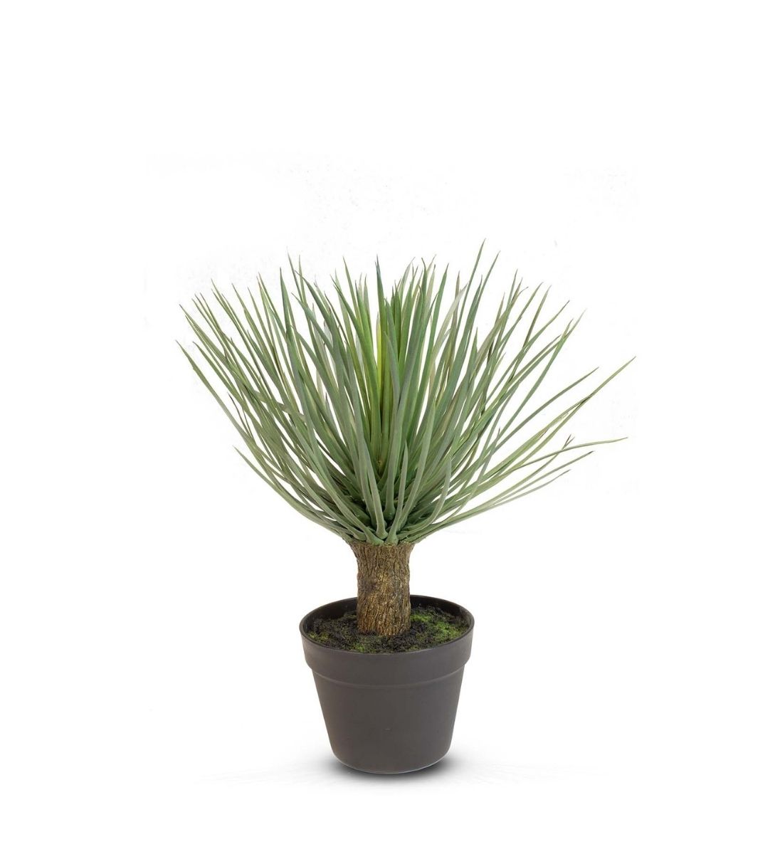 Palmlilie Kunstpflanze Yucca rostrata als Freisteller – naturgetreue Nachbildung mit dichter Blattrosette und strukturiertem Stamm