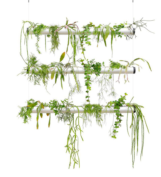 Pendularis System 1 Meter im Set mit Pflanzenauswahl 'Royal'