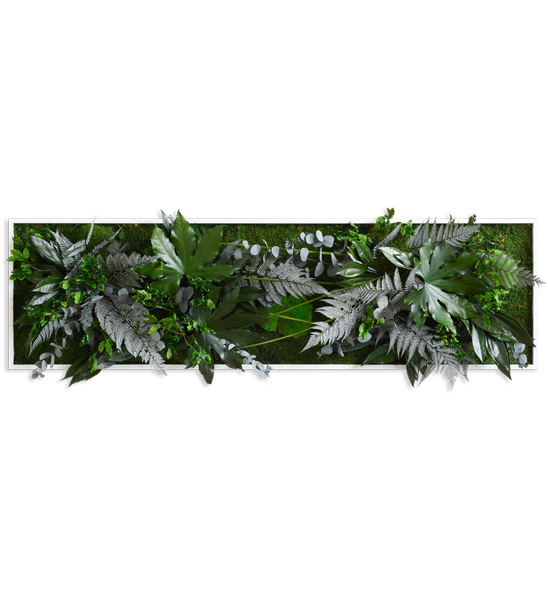 Pflanzenbild 140 x 40 cm Vollholz - weiß