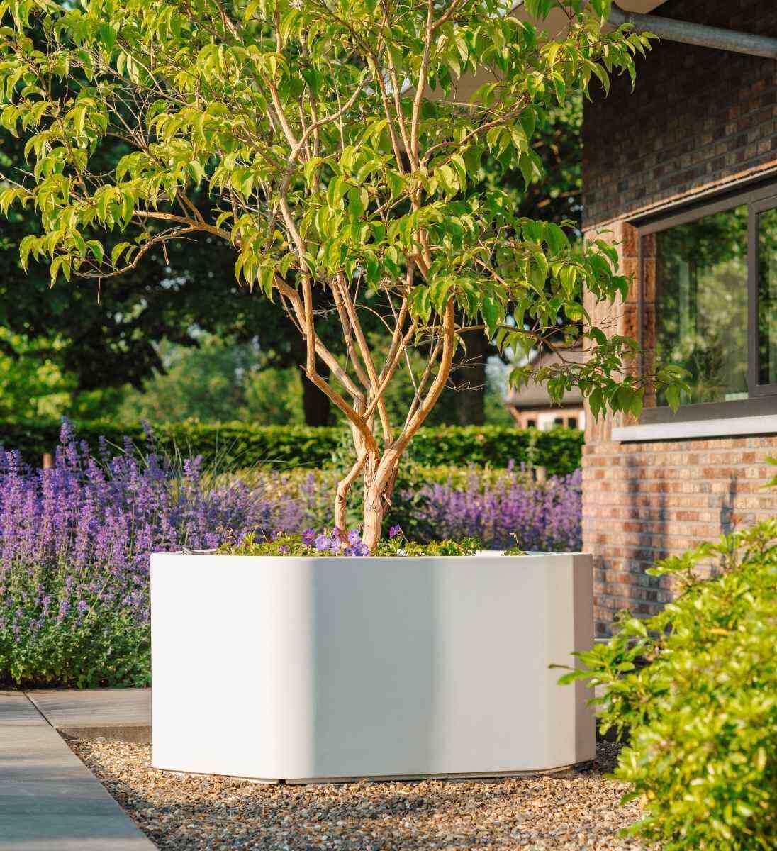 XXL Pflanzkübel aus Fiberglas Shape