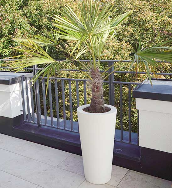 Pflanzvase Beige Hoch Schmal