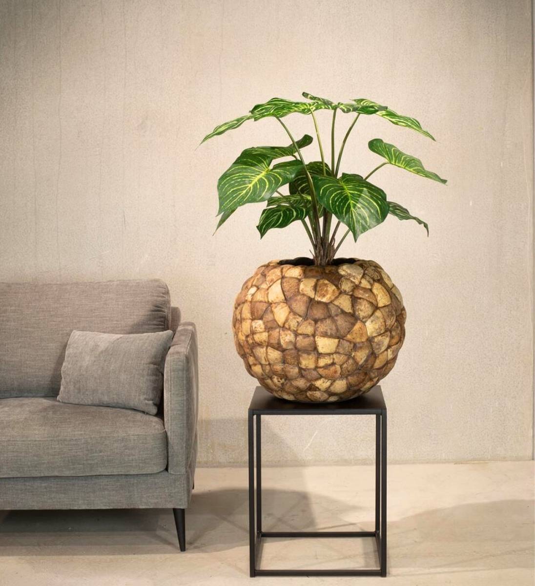 Calathea Kunstpflanze in rundem Design-Übertopf als Deko im Wohnzimmer – moderne künstliche Zimmerpflanze mit tropischem Look