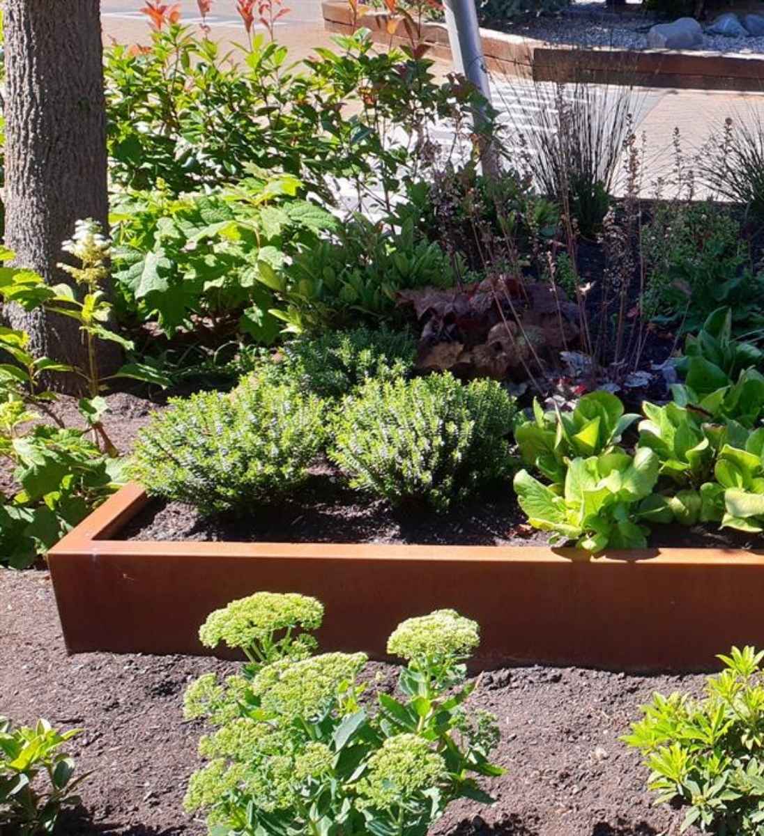 Cortenstahl Beeteinfassung Ecke außen 20 cm hoch