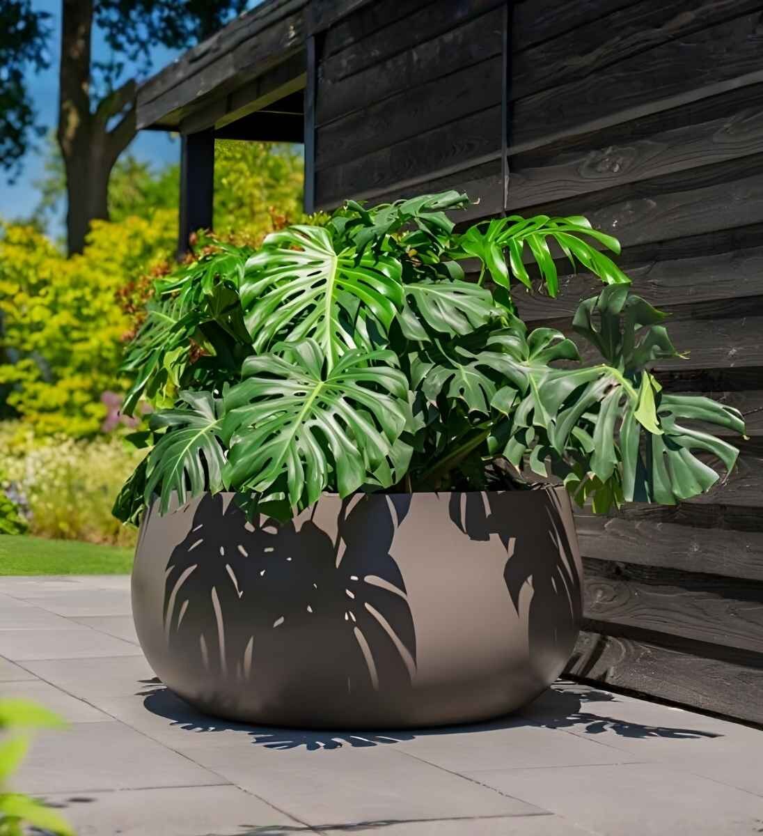Große Pflanzschale LORA aus Fiberglas rund mit Monstera