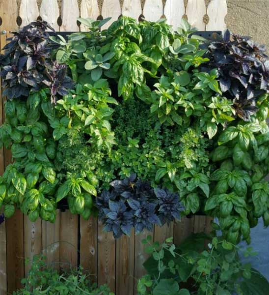 Gw Ng 100 A 50 X 83 X 24 Cm (b X H X T)ohne Befestigungsmaterial 2