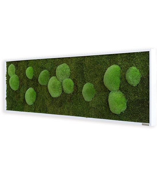 Moosbild lang und schmal aus echtem Wald- und Kugelmoos