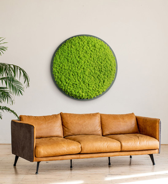 Moosbild aus Islandmoos rund Wohnzimmer