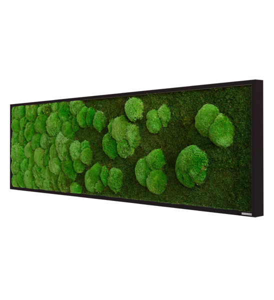 Wandbild aus Wald- und Kugelmoos zur Wandbegrünung