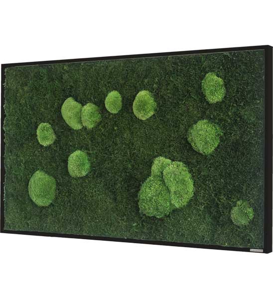 Moosbild 100x60 gerahmt seitliche Ansicht
