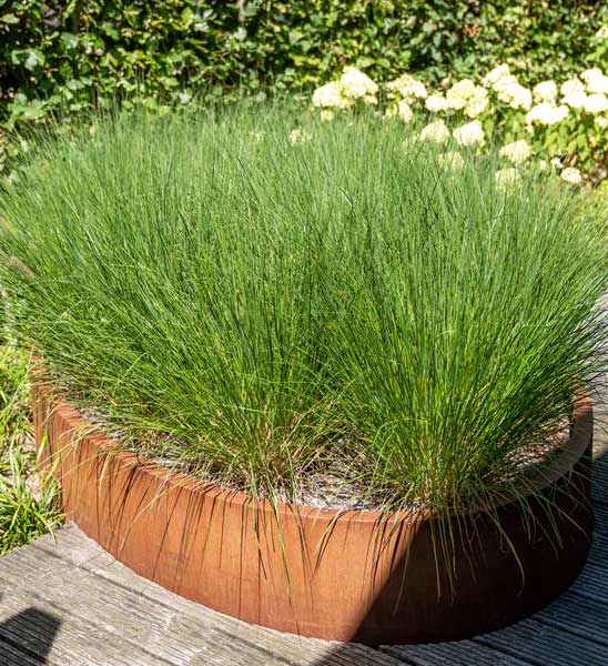 Ovales Hochbeet oval aus Cortenstahl für die Terrasse