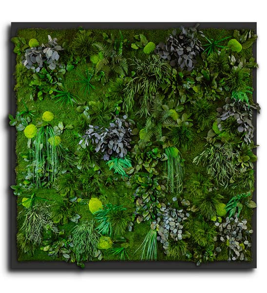 Pflanzenbild Xxl Dschungel 200x200 Cm