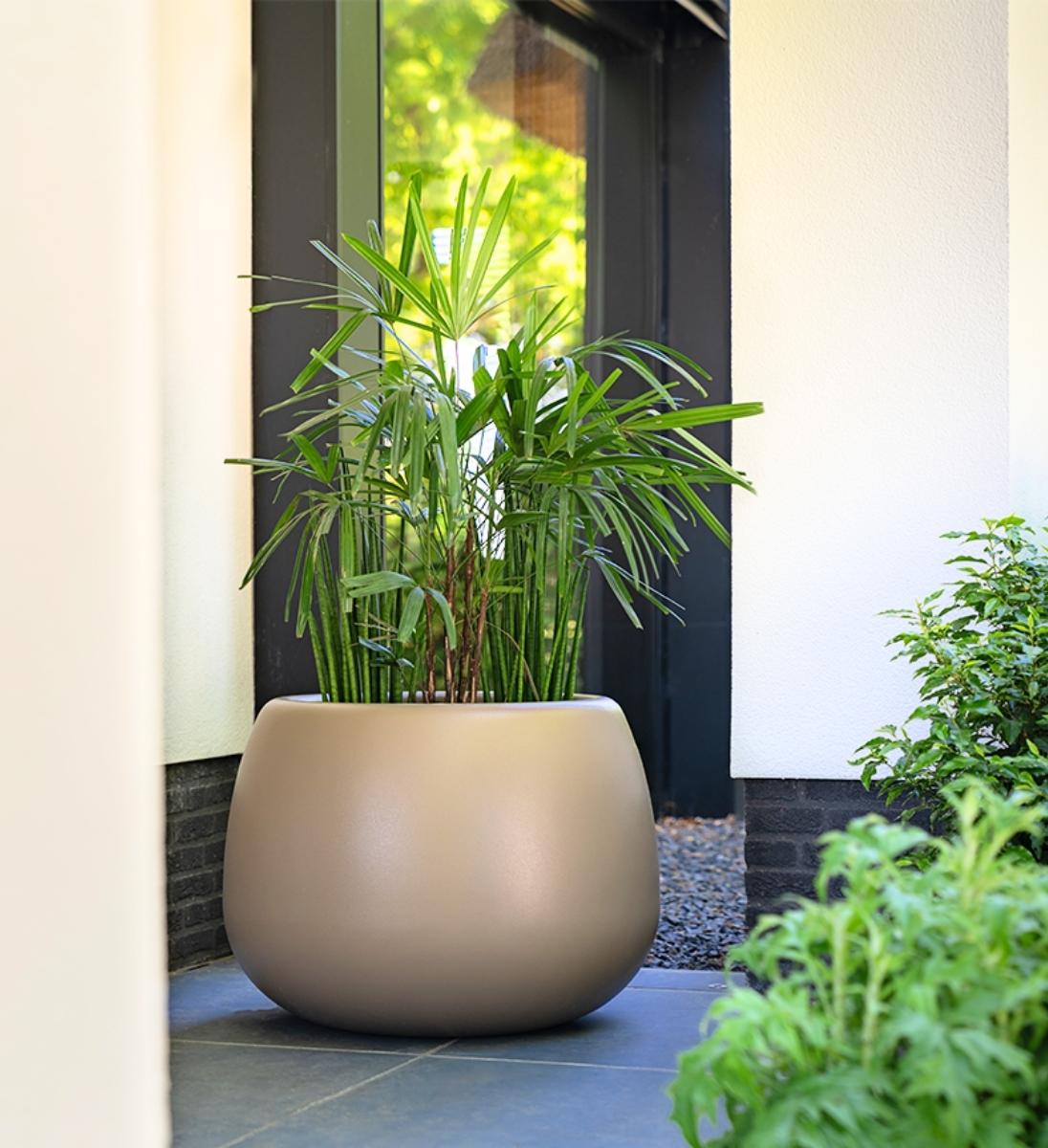 Pflanzgefäß MERO aus Fiberglas am Hauseingang befpflanzt