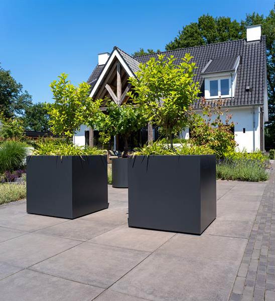 Moderne Pflanzkübel aus Metall in Anthrazit