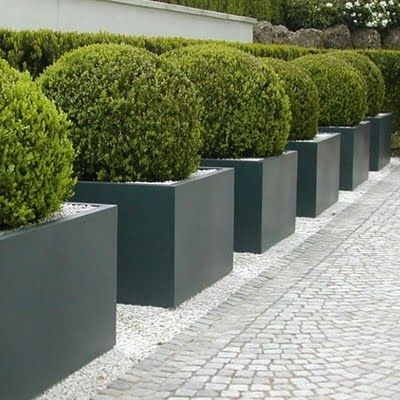 Anthrazitfarbene Fiberglas-Pflanzkübel in Einfahrt bepflanzt mit Sträuchern