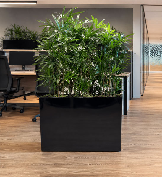 Pflanzkuebel Kunststoff Schwarz Hoch 60cm Buero
