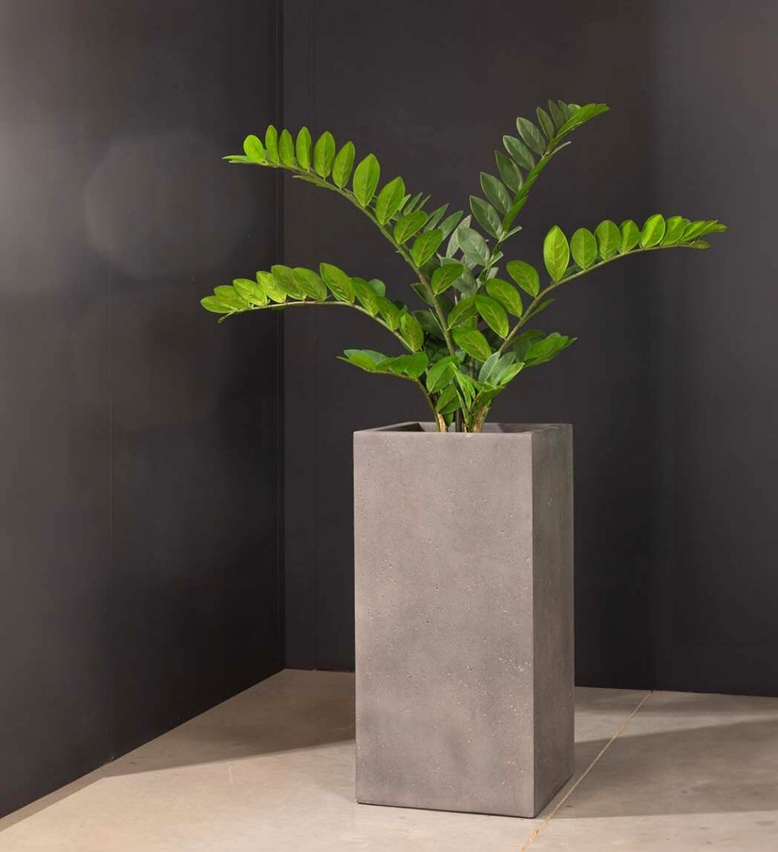 Moderne Pflanzsäule aus Polystone grau, eckig und hoch im Innenraum mit Bepflanzung