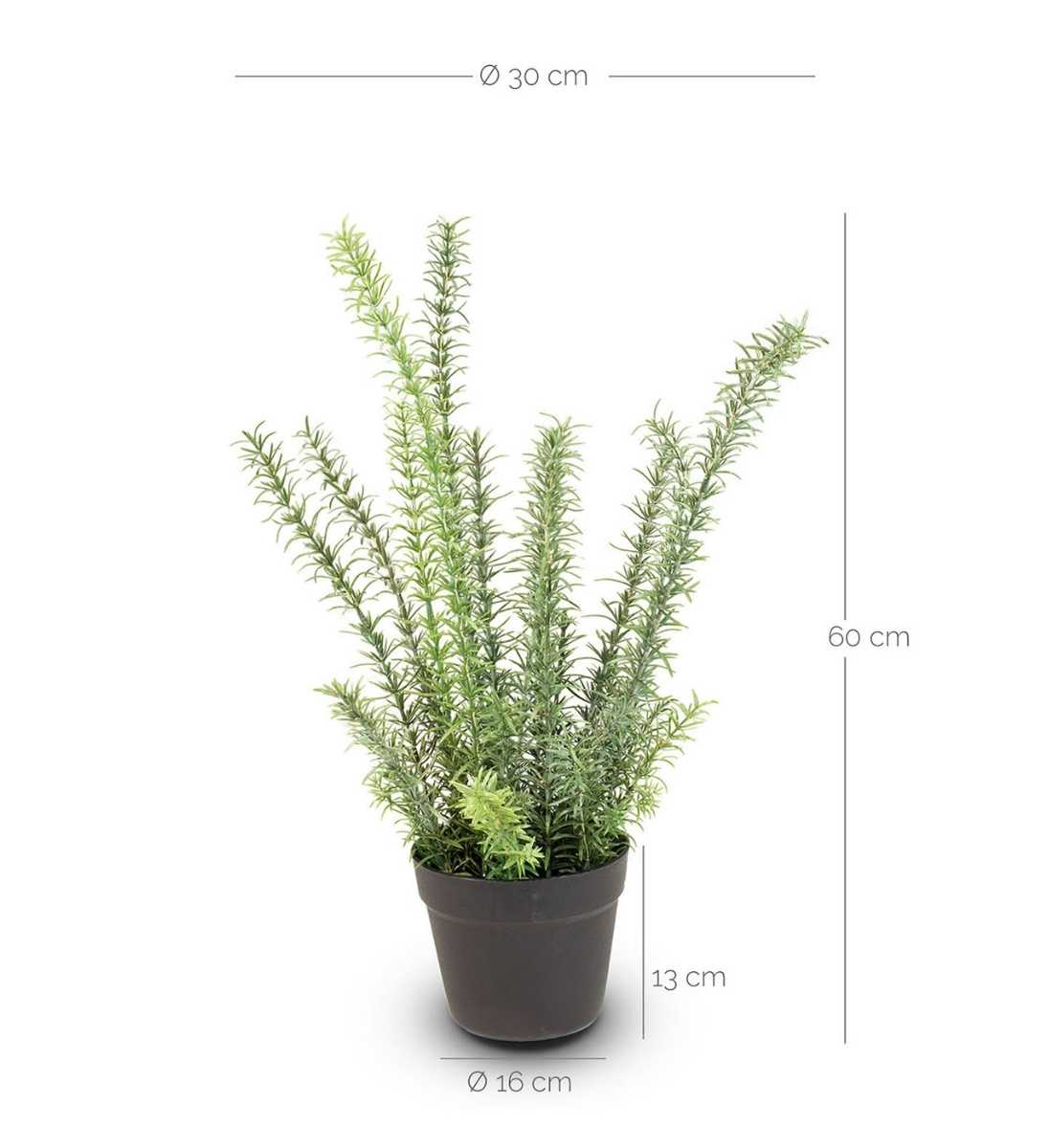 Rosmarin Kunstpflanze UV-Stabil 60 cm Höhe mit Abmessungen