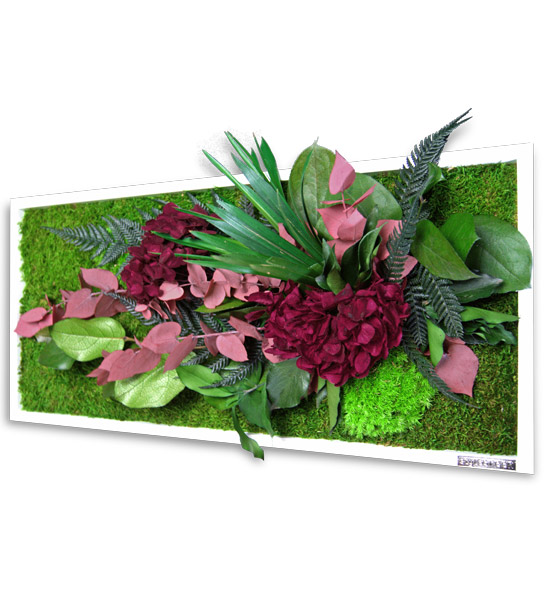 Pflanzenbild mit Hortensien | Greenbop