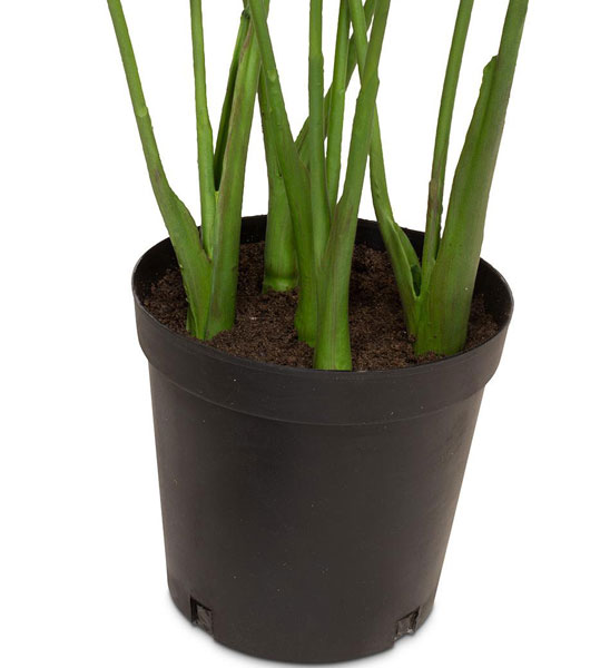 Anthurium Kunstpflanze 81 cm | Greenbop
