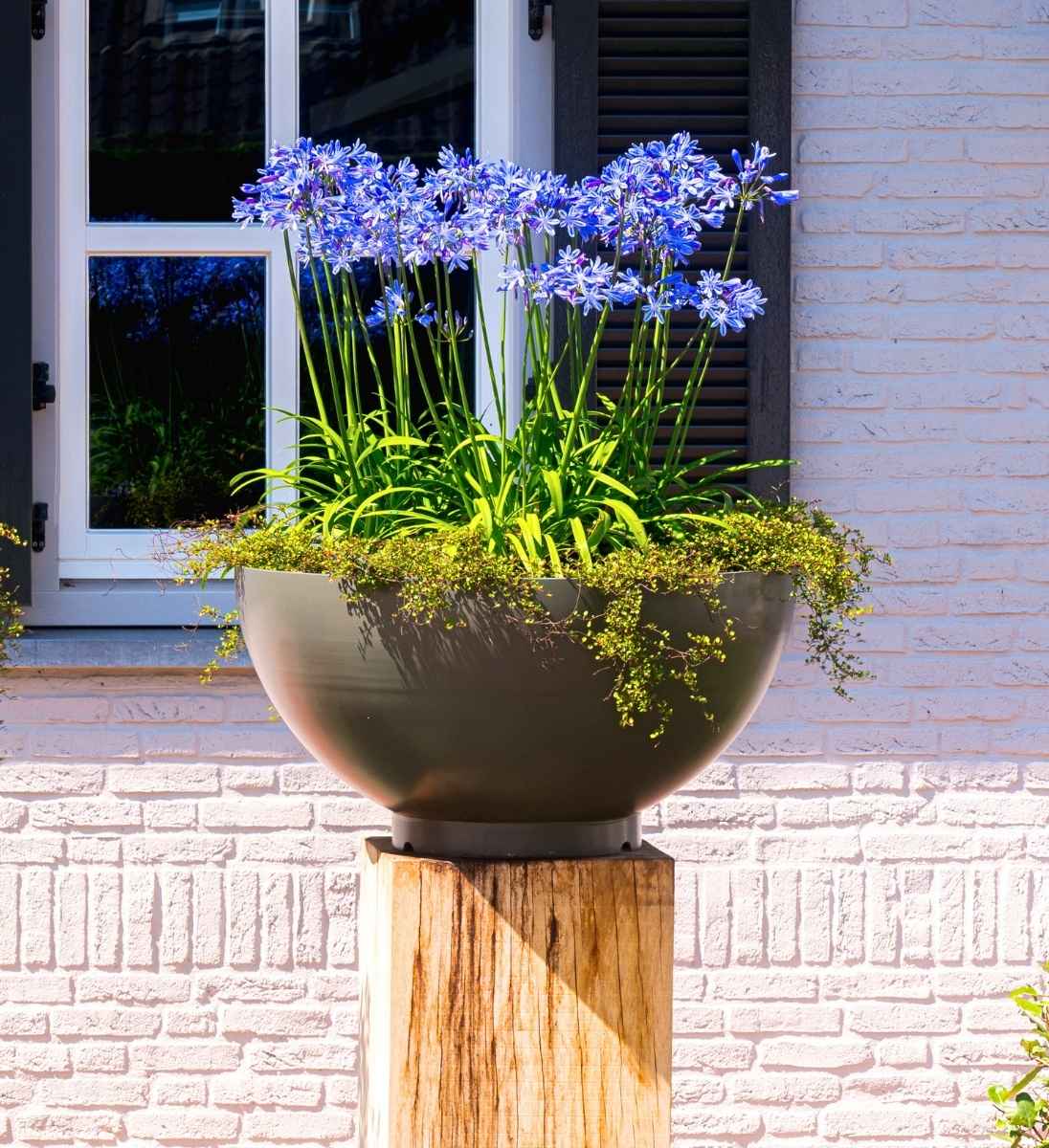 Mit Blumen bepflanzte Metall Cortenstahl Schale