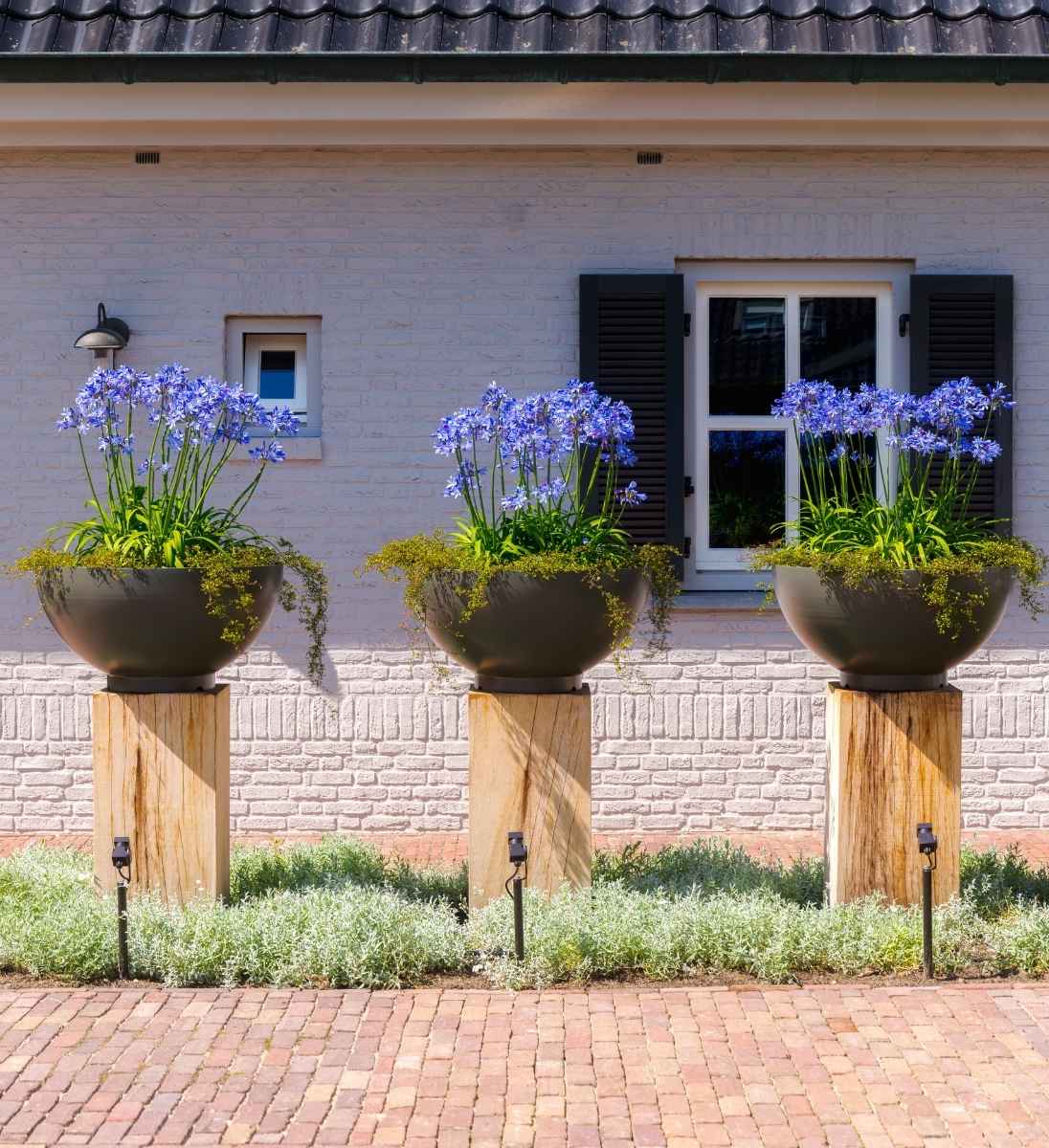 Mit Blumen bepflanzte Metall Cortenstahl Schale