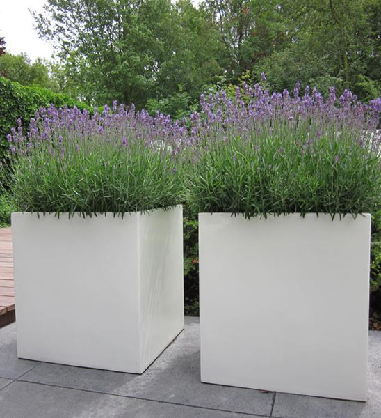 Pflanzkübel CARREZ Fiberglas weiß Detail Struktur
