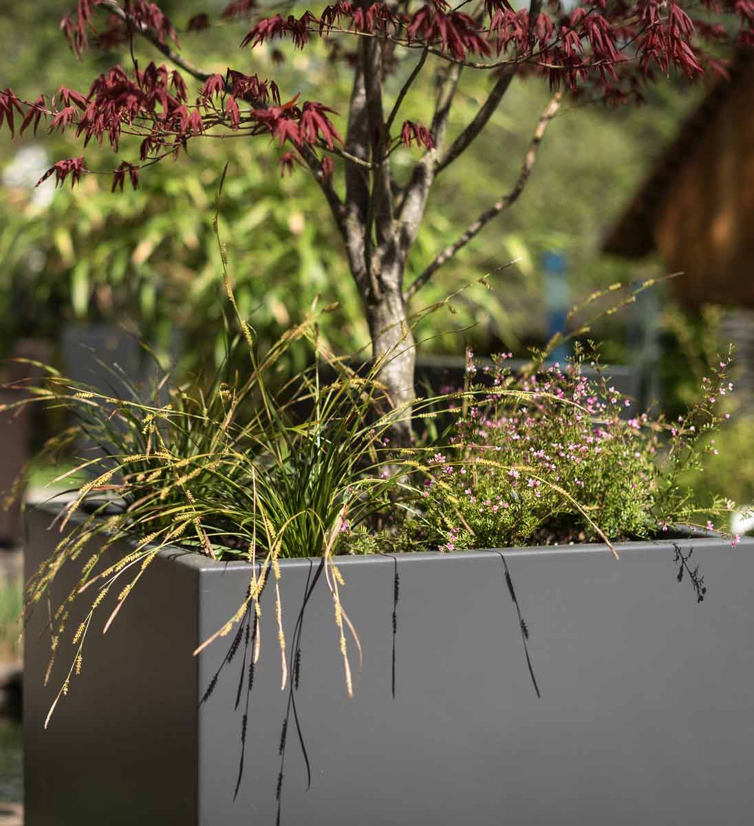 Gartensilber Kubus in vielen RAL Farben verfügbar